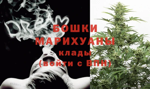 молекула духа Белоозёрский