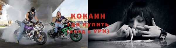 молекула духа Белоозёрский