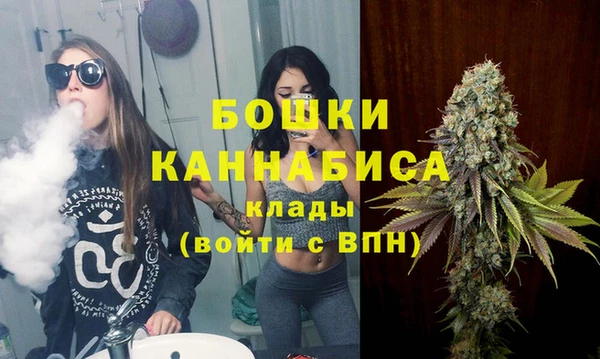 молекула духа Белоозёрский