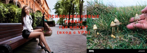 молекула духа Белоозёрский