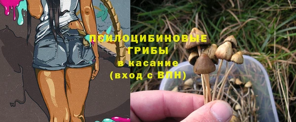 молекула духа Белоозёрский