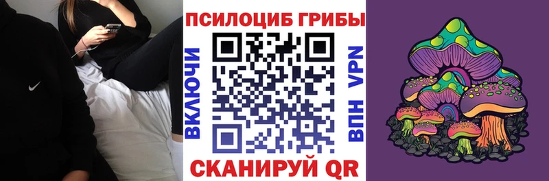 Купить  Нязепетровск  Псилоцибиновые грибы прущие грибы 